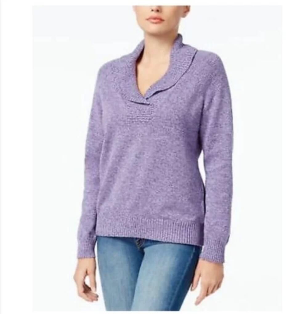 Karen Scott V-neck Sweater